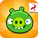 Bad Piggies Icon