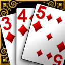 Gin Rummy Icon