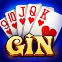 Gin Rummy Icon