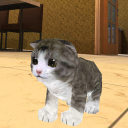 Kitten Cat Simulator 3D Craft Icon