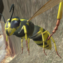 Wasp Nest Simulator Icon